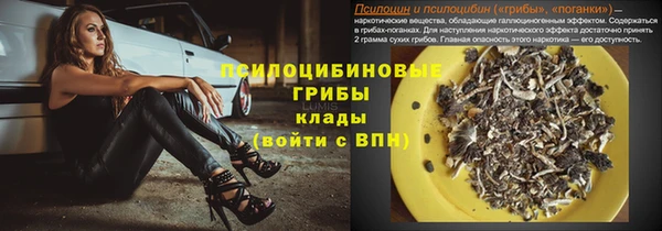 кокс Баксан