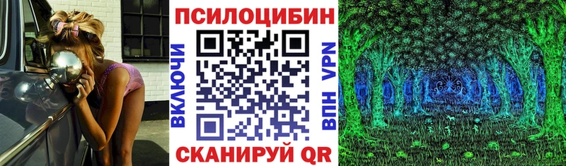 как найти наркотики Корсаков Псилоцибиновые грибы Psilocybine cubensis