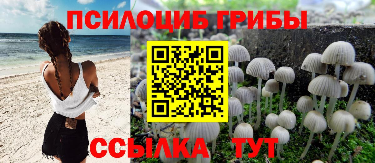 Псилоцибиновые грибы мухоморы  Вход с VPN  Корсаков 