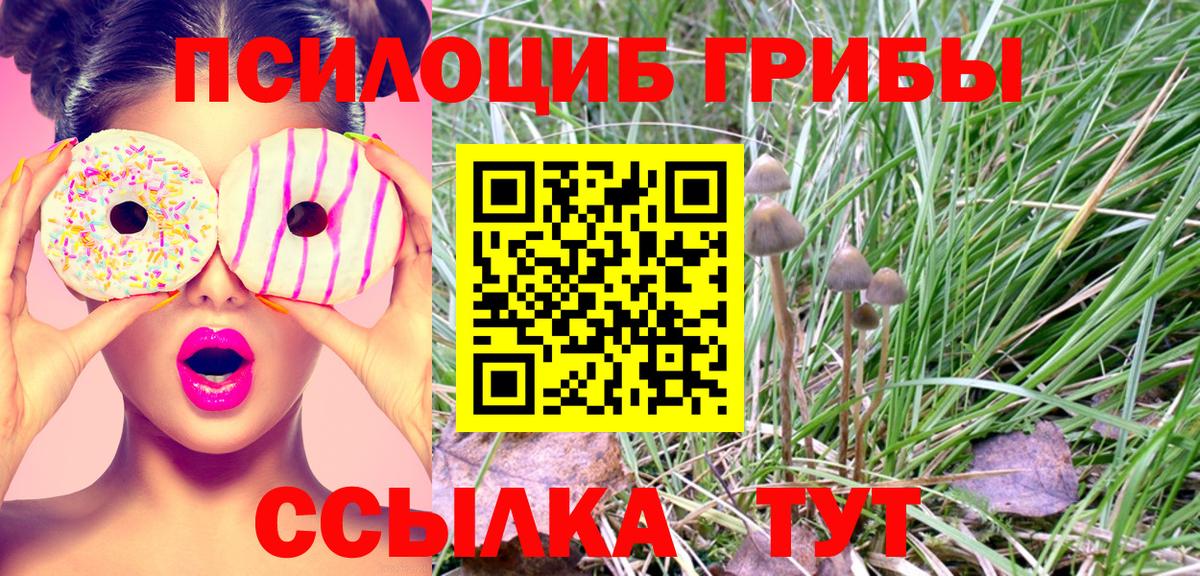 Псилоцибиновые грибы Magic Shrooms Корсаков